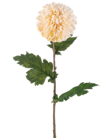De Kunstbloem Dahlia 75 cm crème heeft een enkele steel met een grote, ronde crème dahlia bloem en verschillende groene, gekartelde bladeren op een witte achtergrond.