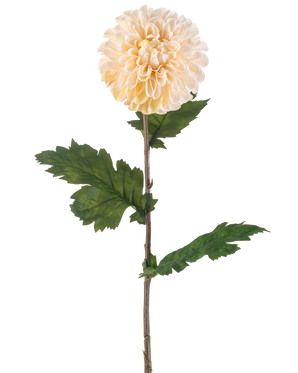 Il fiore artificiale Dalia crema da 75 cm ha un unico stelo con un grande fiore rotondo di dalia crema e diverse foglie verdi seghettate su sfondo bianco.