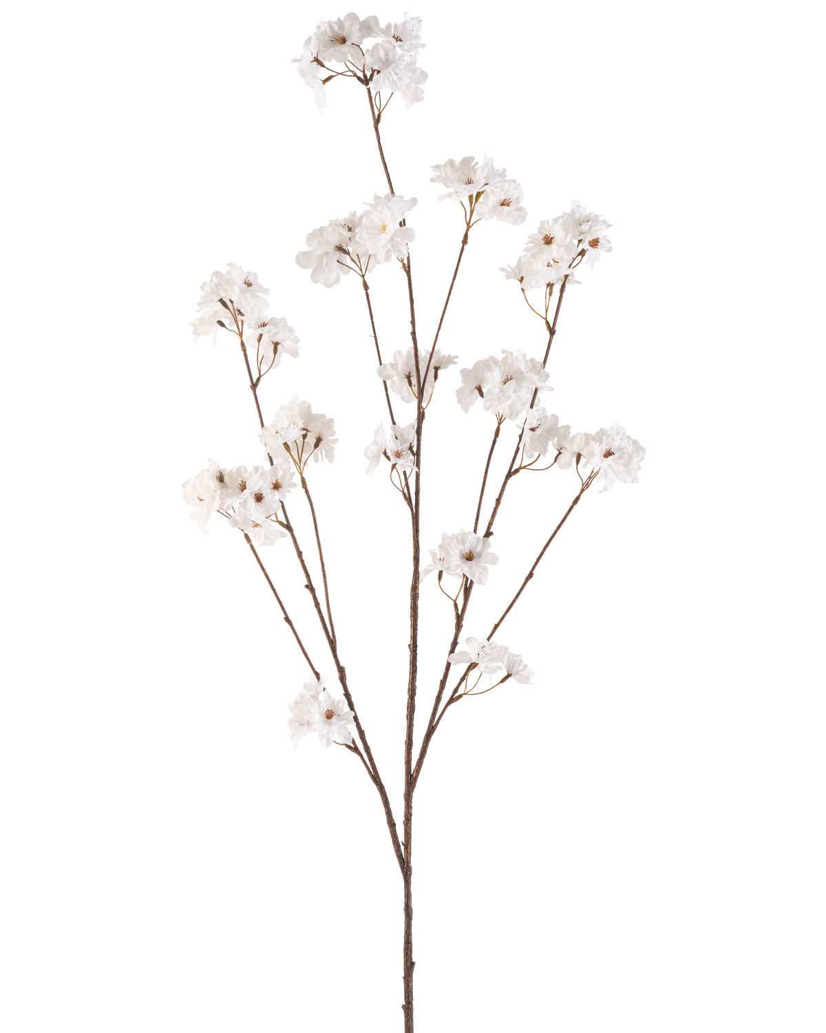 Il fiore artificiale di ciliegio color crema da 130 cm ha un unico stelo marrone che si ramifica in diversi steli sottili, ciascuno decorato con mazzi di piccoli e delicati fiori di ciliegio color crema su un semplice sfondo bianco.