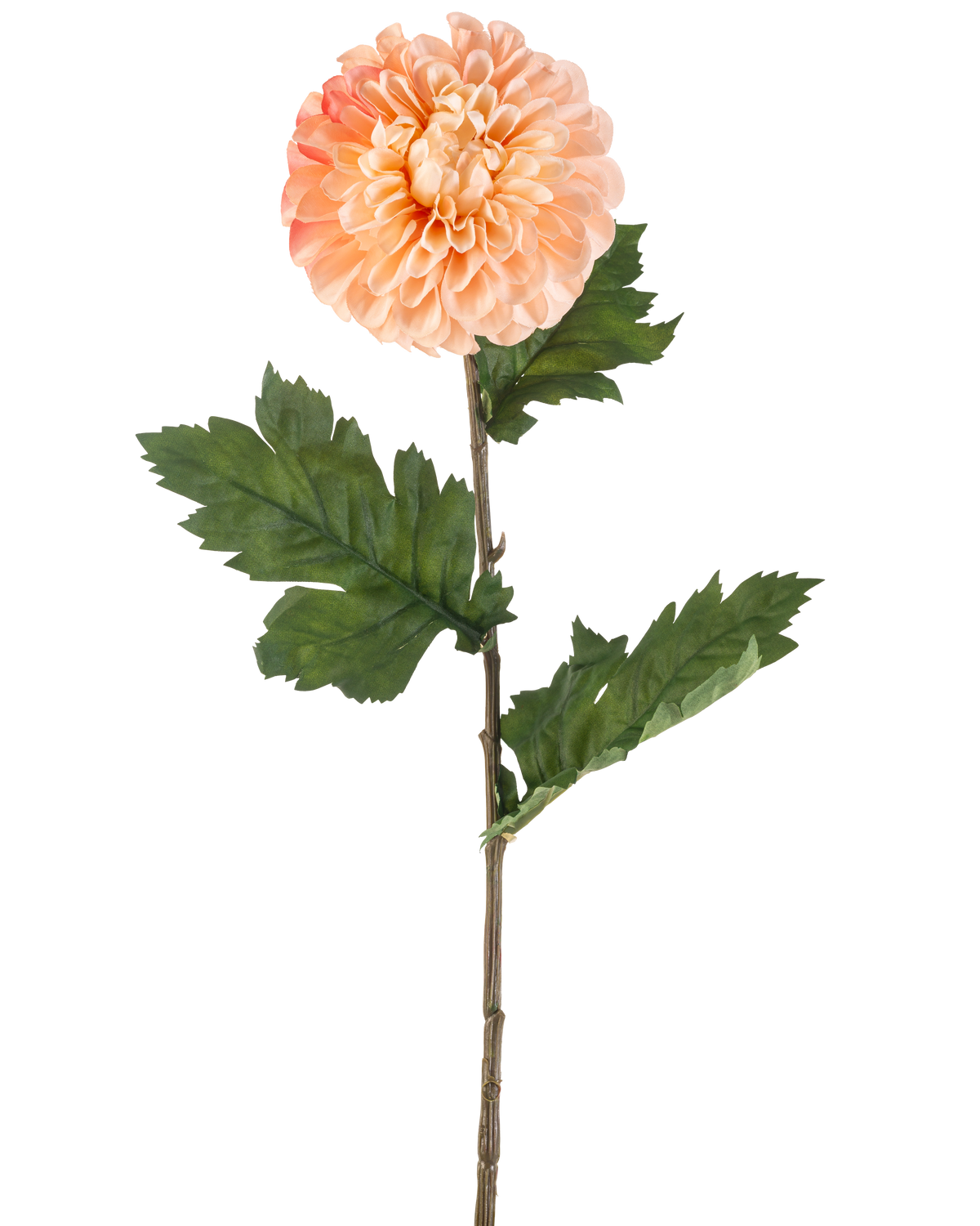 Il fiore artificiale Dalia pesca da 75 cm ha una dalia color pesca con petali a strati e tre mazzi di foglie verdi seghettate su un lungo stelo, raffigurate su uno sfondo bianco.