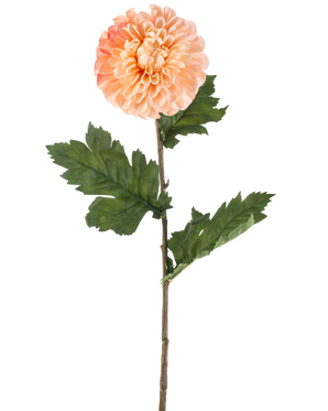 Il fiore artificiale Dalia pesca da 75 cm ha una dalia color pesca con petali a strati e tre mazzi di foglie verdi seghettate su un lungo stelo, raffigurate su uno sfondo bianco.