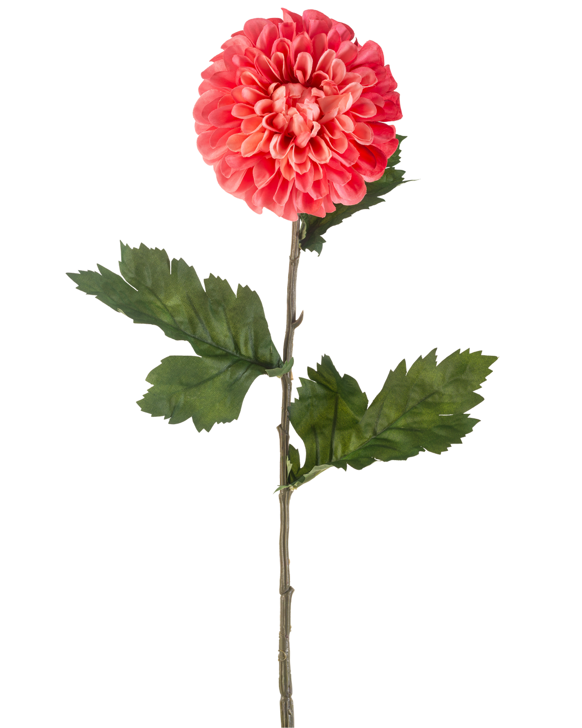 Il fiore artificiale Dalia rosso 75 cm è un singolo fiore artificiale dalia rossa con petali stratificati e diverse foglie verdi su un lungo stelo verde, isolato su uno sfondo bianco.