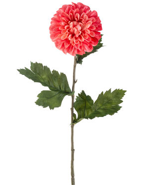 Il fiore artificiale Dalia rosso 75 cm è un singolo fiore artificiale dalia rossa con petali stratificati e diverse foglie verdi su un lungo stelo verde, isolato su uno sfondo bianco.