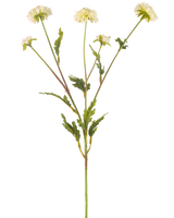 De Kunstbloem Pompon chrysant 69 cm crème/roze heeft een groene stengel die zich vertakt in vijf kleinere stengels, elk bekroond met een ronde crème-roze bloem en omringd door gekartelde groene bladeren, alles tegen een effen witte achtergrond.