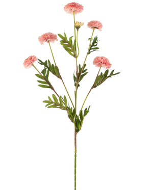 Il fiore artificiale Pompon Crisantemo 69 cm rosa ha un unico stelo con diversi fiori pompon rotondi rosa chiaro e foglie verdi simili a felci su uno sfondo bianco.
