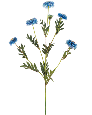 Il fiore artificiale Pompon Crisantemo 69 cm blu ha un unico stelo verde con diversi rami, sei fiori artificiali blu con cuori gialli e strette foglie verdi, il tutto su sfondo bianco.