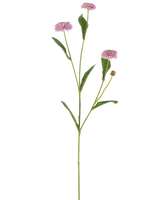 De Kunstbloem Zomeraster 57 cm mauve heeft een lange, slanke groene steel met drie mauve, margrietachtige bloemen en langwerpige groene bladeren die zich vertakken, alles tegen een effen witte achtergrond.