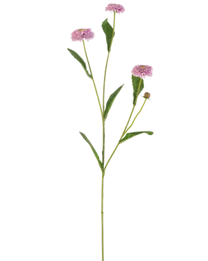 Il fiore artificiale Summer Aster 57 cm color malva ha uno stelo verde lungo e sottile con tre fiori color malva simili a margherite e foglie verdi allungate che si ramificano, il tutto su un semplice sfondo bianco.