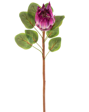 Il fiore artificiale Protea 65 cm viola ha un singolo fiore artificiale Protea viola con foglie verdi e un lungo stelo marrone, su sfondo bianco.
