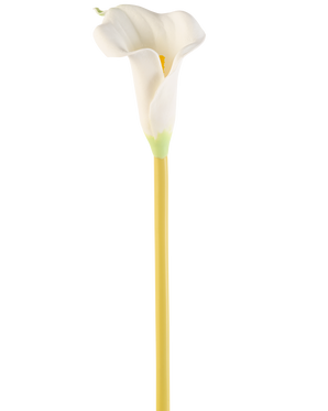 Il fiore artificiale Calla crema da 64 cm è una singola calla artificiale bianca con un lungo gambo giallo, su uno sfondo bianco semplice.