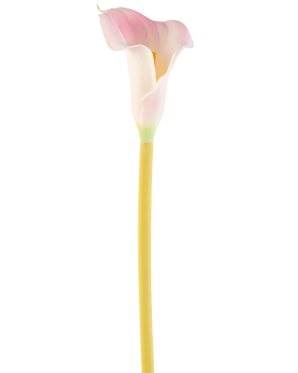 Il fiore artificiale Calla 64 cm blush, una singola calla rosa e bianca con uno stelo giallo, è mostrato su uno sfondo bianco semplice.