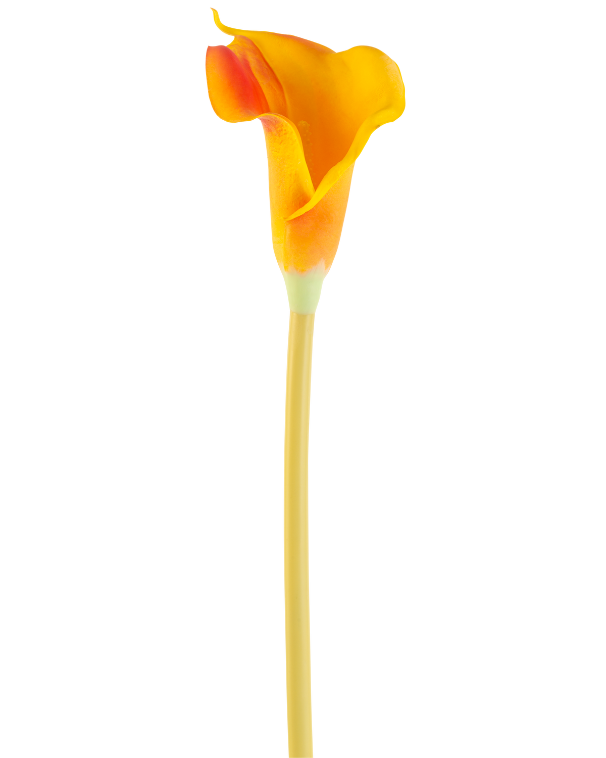 Il fiore artificiale Calla 64 cm arancione presenta un'unica calla arancione dal gambo lungo e sottile, isolata su sfondo bianco.