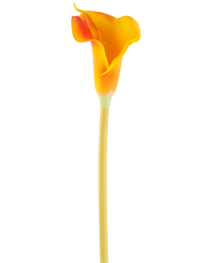 Il fiore artificiale Calla 64 cm arancione presenta un'unica calla arancione dal gambo lungo e sottile, isolata su sfondo bianco.
