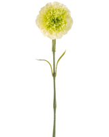 De Kunstbloem Anjer 57 cm lichtgroen is een kunstmatige lichtgroene anjer met ruches in de bloemblaadjes en een lange steel, afgebeeld tegen een effen witte achtergrond.