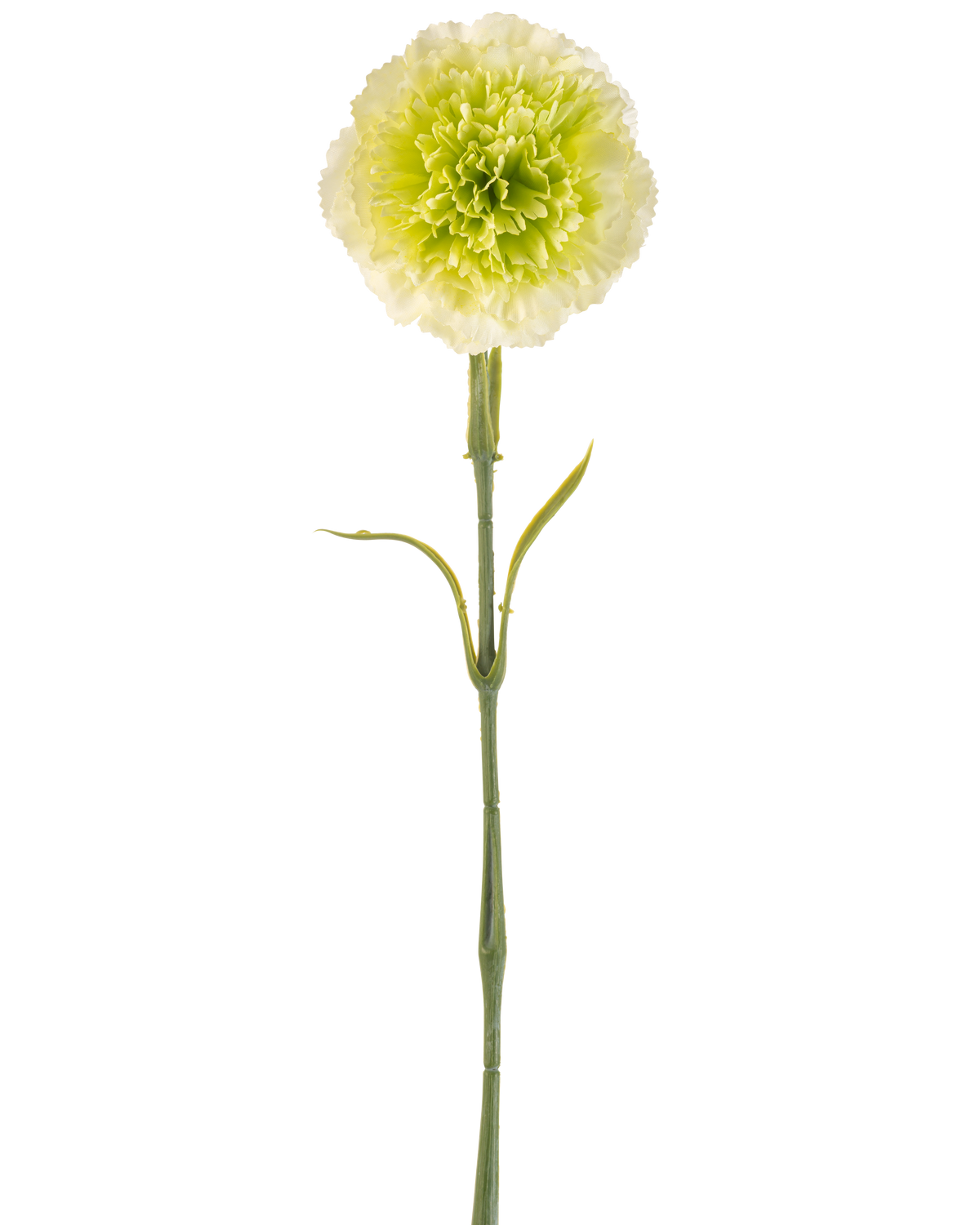 Il garofano artificiale da 57 cm verde chiaro è un garofano artificiale verde chiaro con volant sui petali e un lungo stelo, raffigurato su uno sfondo bianco a tinta unita.