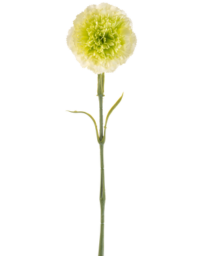Il garofano artificiale da 57 cm verde chiaro è un garofano artificiale verde chiaro con volant sui petali e un lungo stelo, raffigurato su uno sfondo bianco a tinta unita.