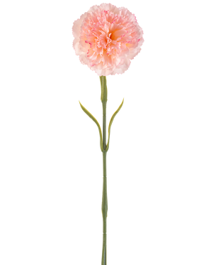 Fiore artificiale Garofano 57 cm arrossato: Un unico garofano artificiale rosa chiaro con petali pieghettati su un lungo stelo verde e due paia di foglie sottili, raffigurate su uno sfondo bianco.