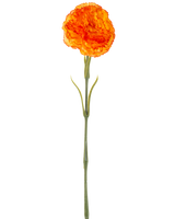 De Kunstbloem Anjer 57 cm oranje is een kunstmatige oranje anjer met ruches in de bloemblaadjes en een lange groene steel, geïsoleerd afgebeeld op een witte achtergrond.