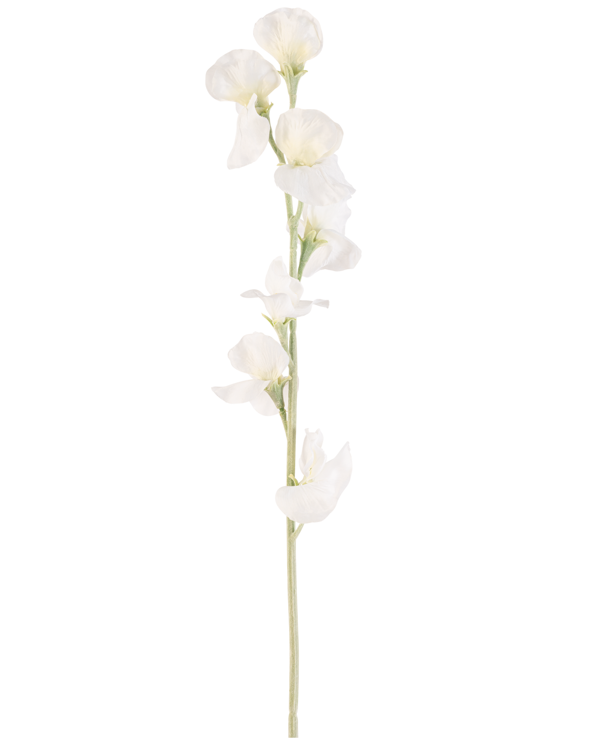 Un singolo fiore artificiale di pisello color crema da 64 cm ha molteplici delicati fiori bianco crema su steli verde chiaro, su uno sfondo bianco semplice.