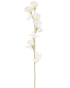 Un singolo fiore artificiale di pisello color crema da 64 cm ha molteplici delicati fiori bianco crema su steli verde chiaro, su uno sfondo bianco semplice.