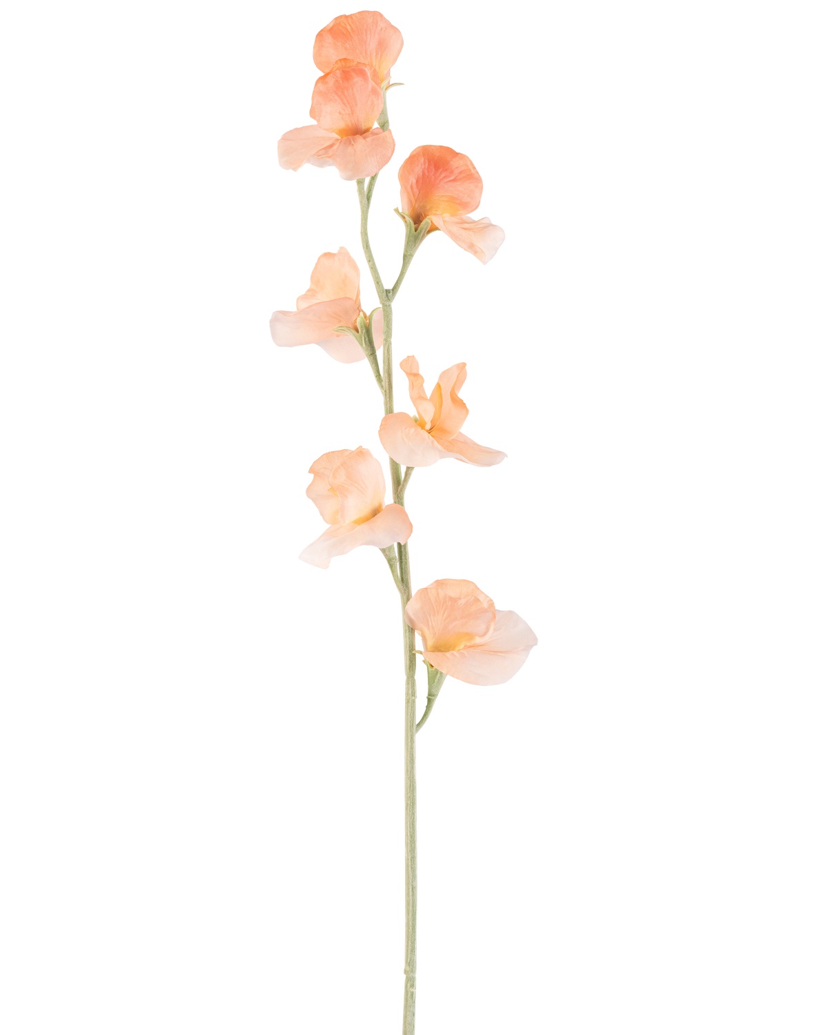 Un singolo fiore di pisello artificiale pesca da 64 cm ha un pisello artificiale color pesca chiaro con volant nei petali e uno stelo verde, isolato su bianco.