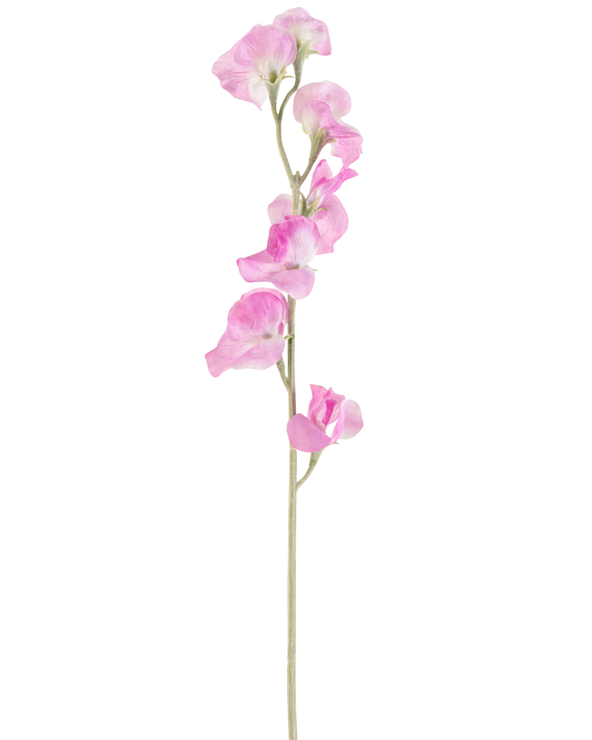 Un singolo fiore artificiale di pisello rosa da 64 cm ha delicati petali rosa increspati e uno stelo verde chiaro, su uno sfondo bianco semplice.