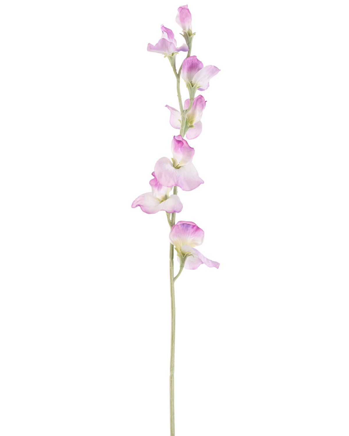 Un unico fiore di pisello artificiale lungo 64 cm con stelo viola con delicati fiori viola disposti verticalmente, su uno sfondo bianco semplice.