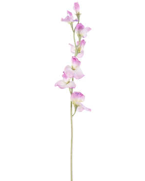Un unico fiore di pisello artificiale lungo 64 cm con stelo viola con delicati fiori viola disposti verticalmente, su uno sfondo bianco semplice.