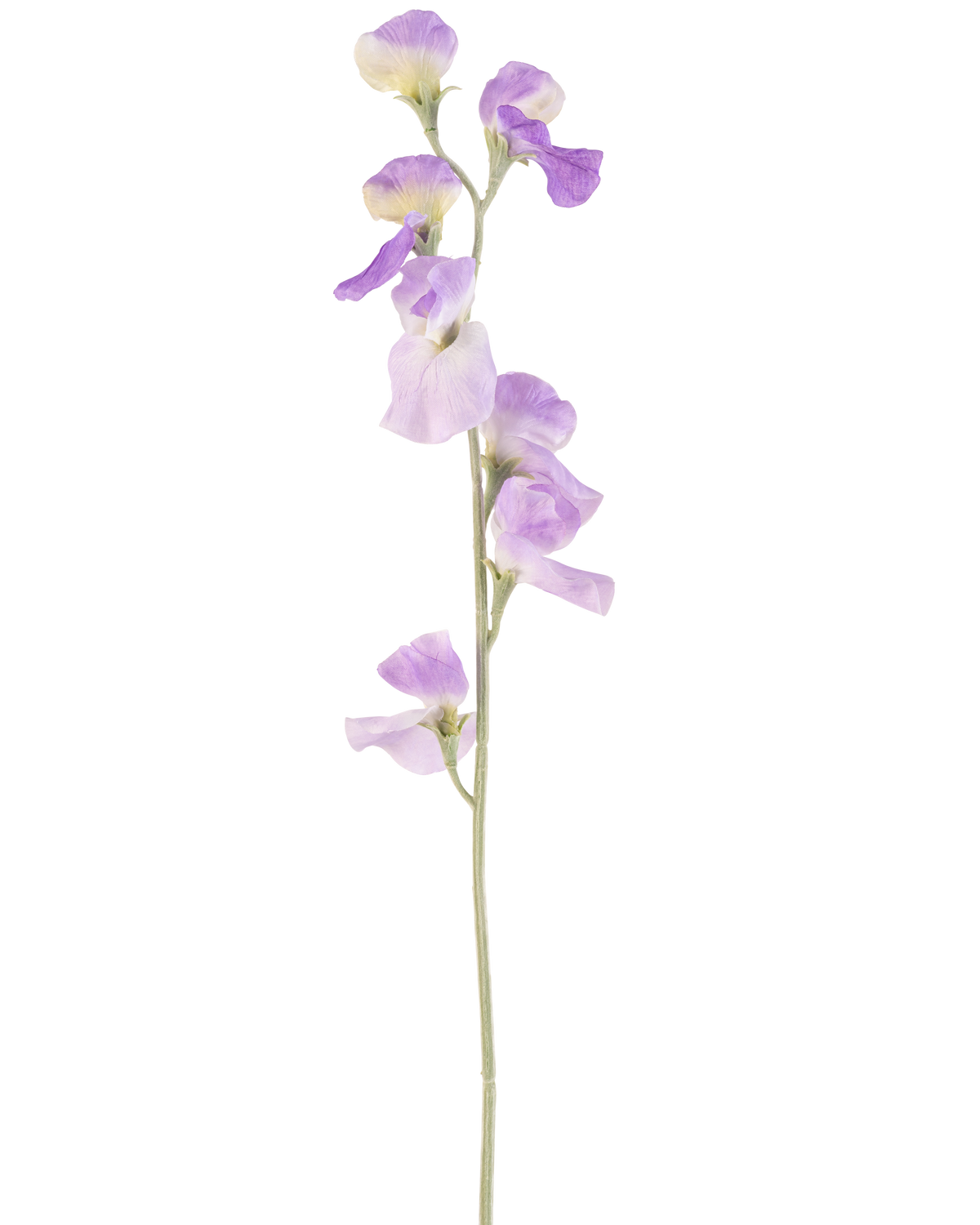Un singolo fiore artificiale Pisello 64 cm lilla con delicati petali viola chiaro e foglie verdi, isolato su sfondo bianco.