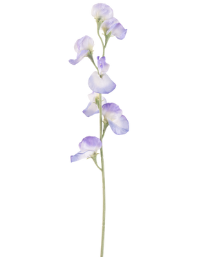Un singolo fiore di pisello artificiale di 64 cm color lavanda, con molteplici delicati fiori viola chiaro e steli verdi, isolati su uno sfondo bianco.