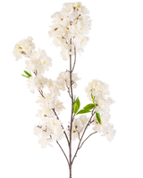 Een Kunstbloem Kersenbloesem 119 cm crème met trosjes tere witte bloesems en een paar heldergroene blaadjes op slanke bruine stelen, geïsoleerd op een witte achtergrond.