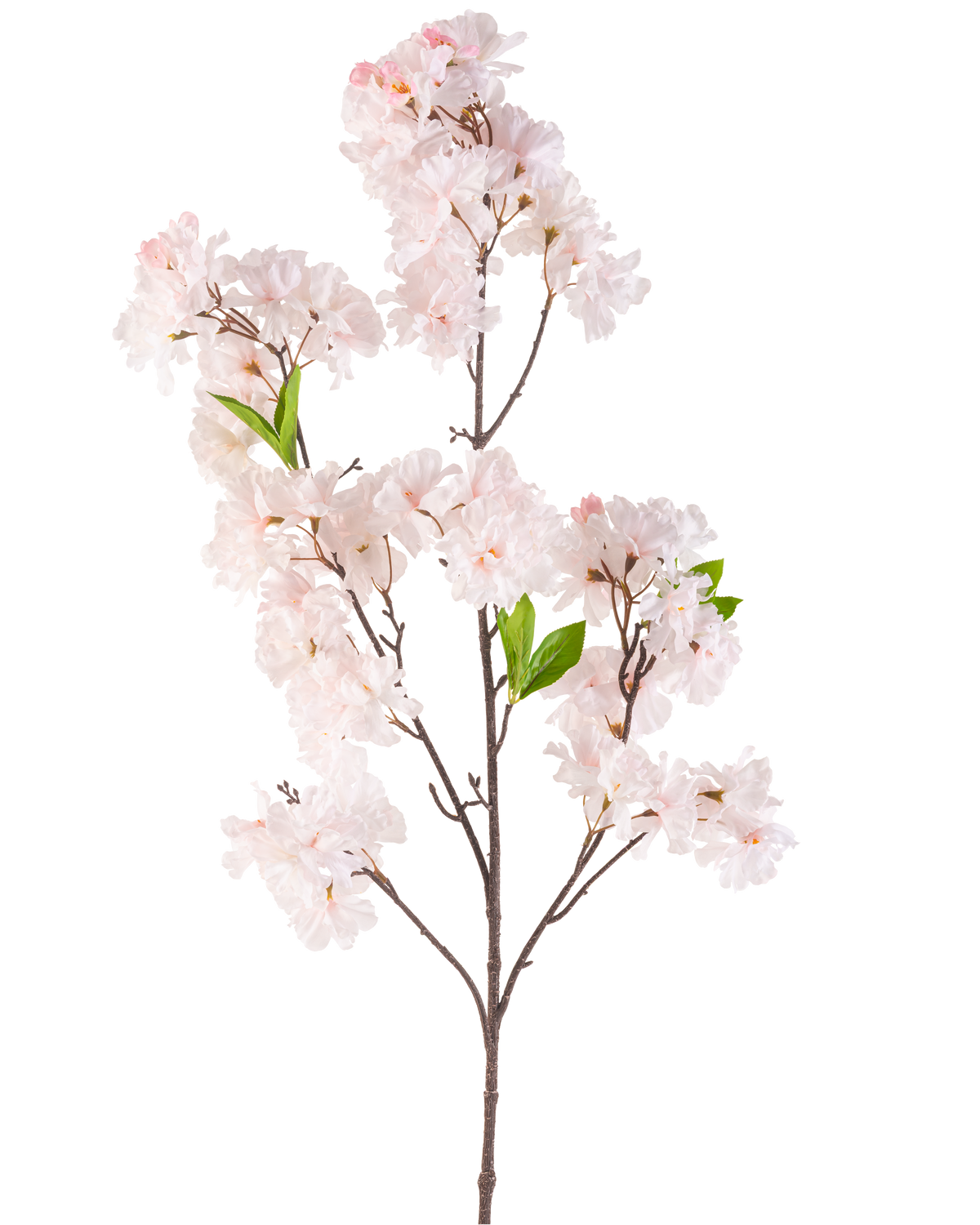 Il fiore artificiale Cherry Blossom 119 cm blush ha un singolo ramo di ciliegio con mazzi di fiori rosa chiaro e alcune foglie verdi su uno sfondo bianco.
