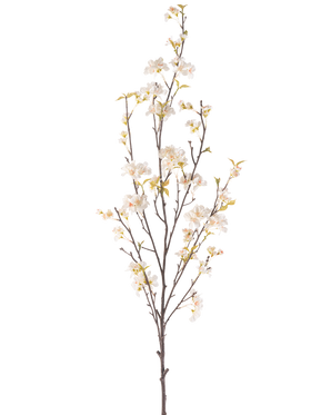 Il fiore artificiale di ciliegio color crema da 150 cm ha un ramo alto con diversi steli sottili, piccoli fiori di ciliegio bianchi e foglie verdi sparse, il tutto su uno sfondo bianco semplice.
