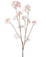 De Kunstbloem Kersenbloesem 114 cm blush heeft een enkele bruine steel met verschillende takken met daarop delicate, blushroze kersenbloesem bloemen, prachtig geïsoleerd op een witte achtergrond.