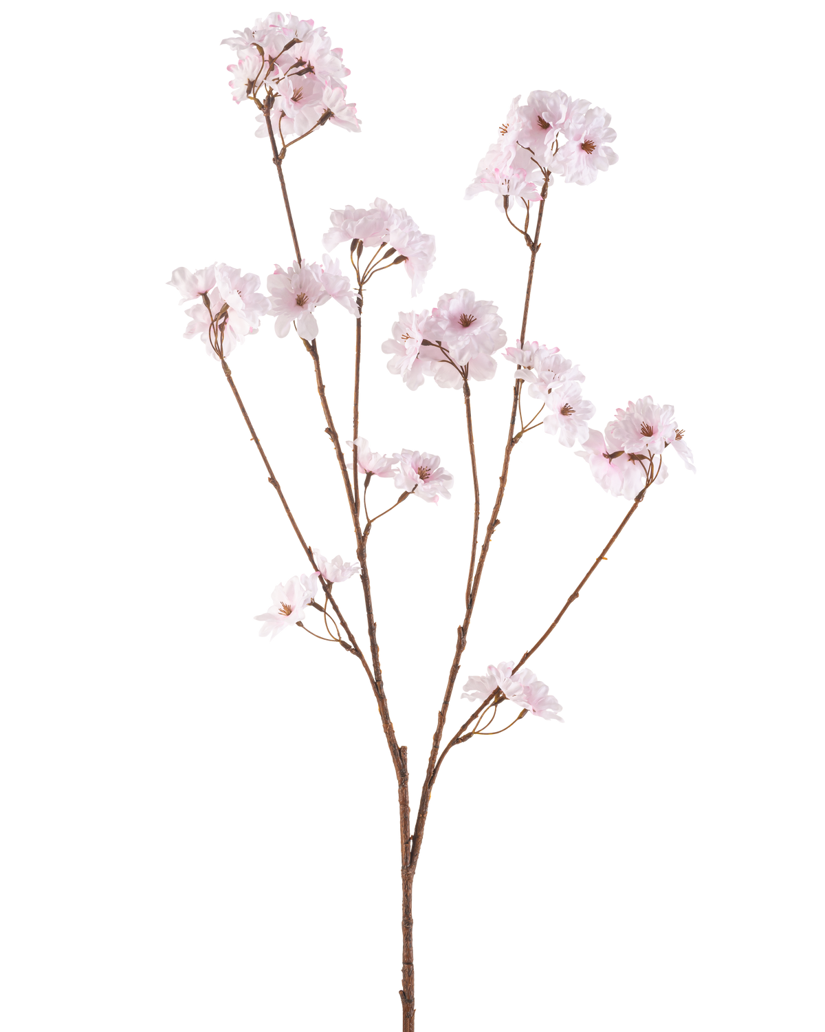 Il fiore artificiale di ciliegio da 114 cm rosa chiaro ha un unico ramo marrone con più steli sottili, ciascuno decorato con mazzi di delicati fiori di ciliegio rosa chiaro, su uno sfondo bianco semplice.