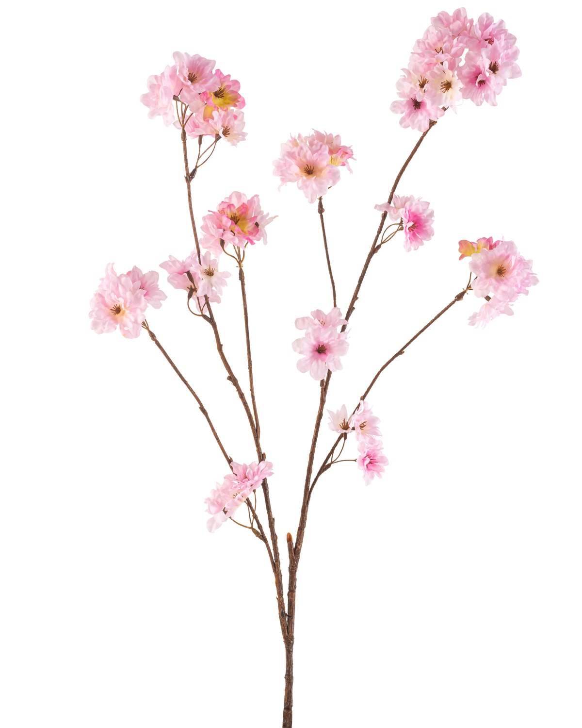 Il fiore artificiale di ciliegio rosa da 114 cm ha diversi steli marroni sottili con mazzi di fiori di ciliegio rosa tenue su uno sfondo bianco semplice.