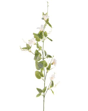 Il fiore artificiale del convolvolo bianco da 122 cm ha un unico stelo con piccoli fiori bianchi, foglie verdi e viticci arricciati su uno sfondo bianco semplice.