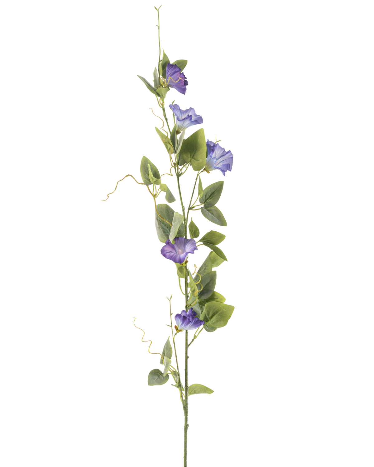 Il fiore artificiale del convolvolo viola da 122 cm ha un lungo stelo verde con diverse foglie verdi e fiori artificiali viola a forma di tromba, disposti verticalmente su uno sfondo bianco semplice.
