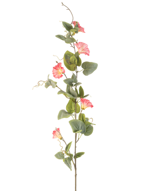Il fiore artificiale del convolvolo rosa da 122 cm ha un unico stelo alto con foglie verdi, fiori multipli rosa a forma di tromba e viticci ricci su uno sfondo bianco.