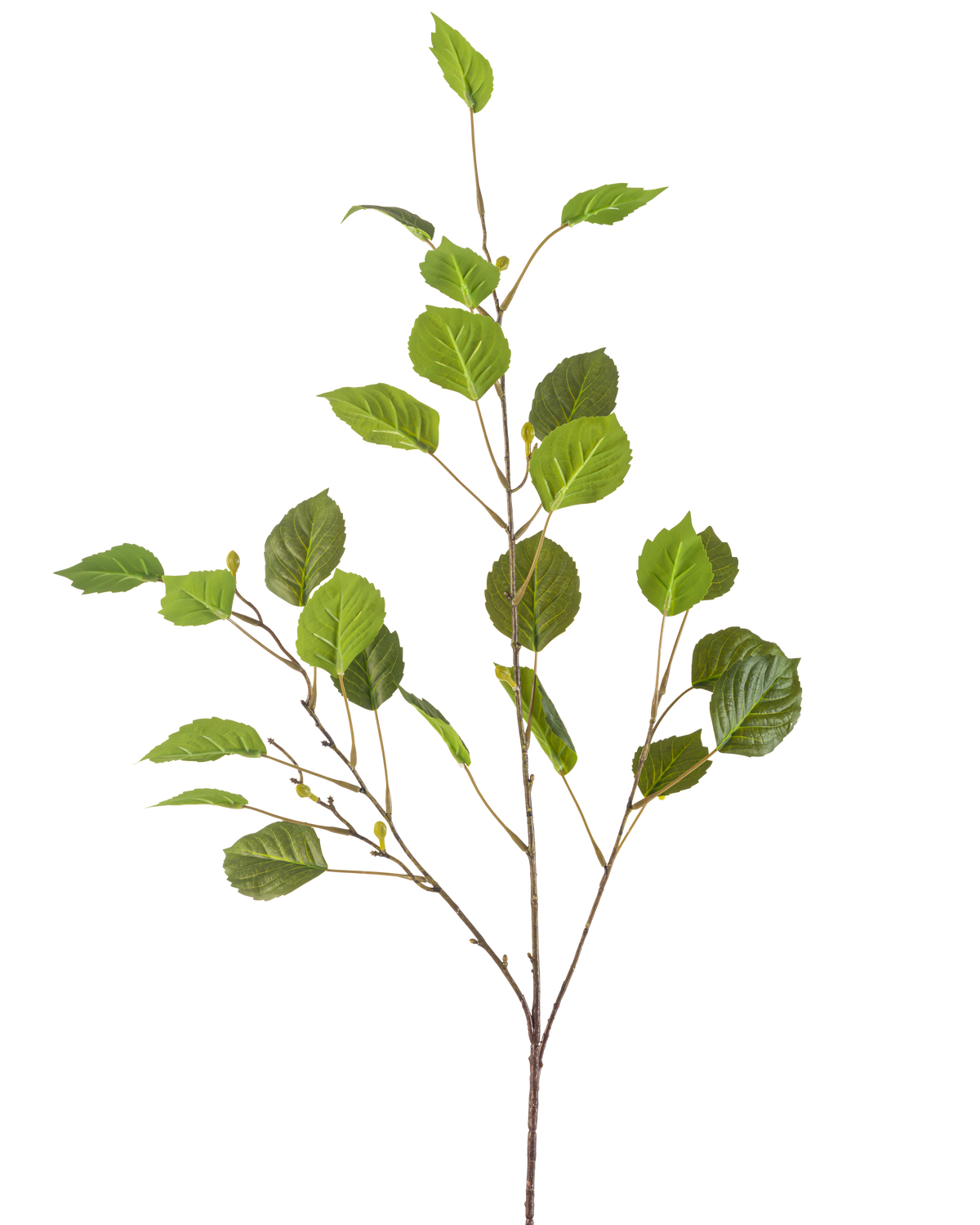 Il Ramo Artificiale 118 cm verde è un unico ramo sottile con molteplici foglie verdi e piccoli boccioli, isolati su uno sfondo bianco.