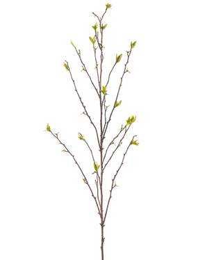 Il Ramo Artificiale Winterzoet 107 cm verde ha un unico ramo spoglio con rami sottili e piccole foglie verdi alle estremità, su uno sfondo bianco uniforme.
