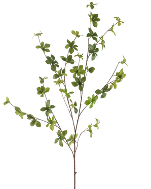 Il fiore artificiale Enkianthus 119 cm verde ha un ramo singolo e sottile con molteplici propaggini e piccole foglie verdi vivaci, isolate su uno sfondo bianco.