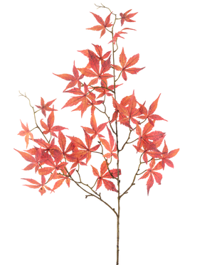 Il fiore artificiale foglia d'acero rosso da 109 cm ha molteplici rami sottili decorati con foglie d'acero rosse vivaci a forma di stella, splendidamente esposte su un semplice sfondo bianco.