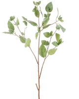 Het Kunsttak Muntblad 97 cm groen heeft meerdere dunne stelen met groene ovale bladeren tegen een effen witte achtergrond.