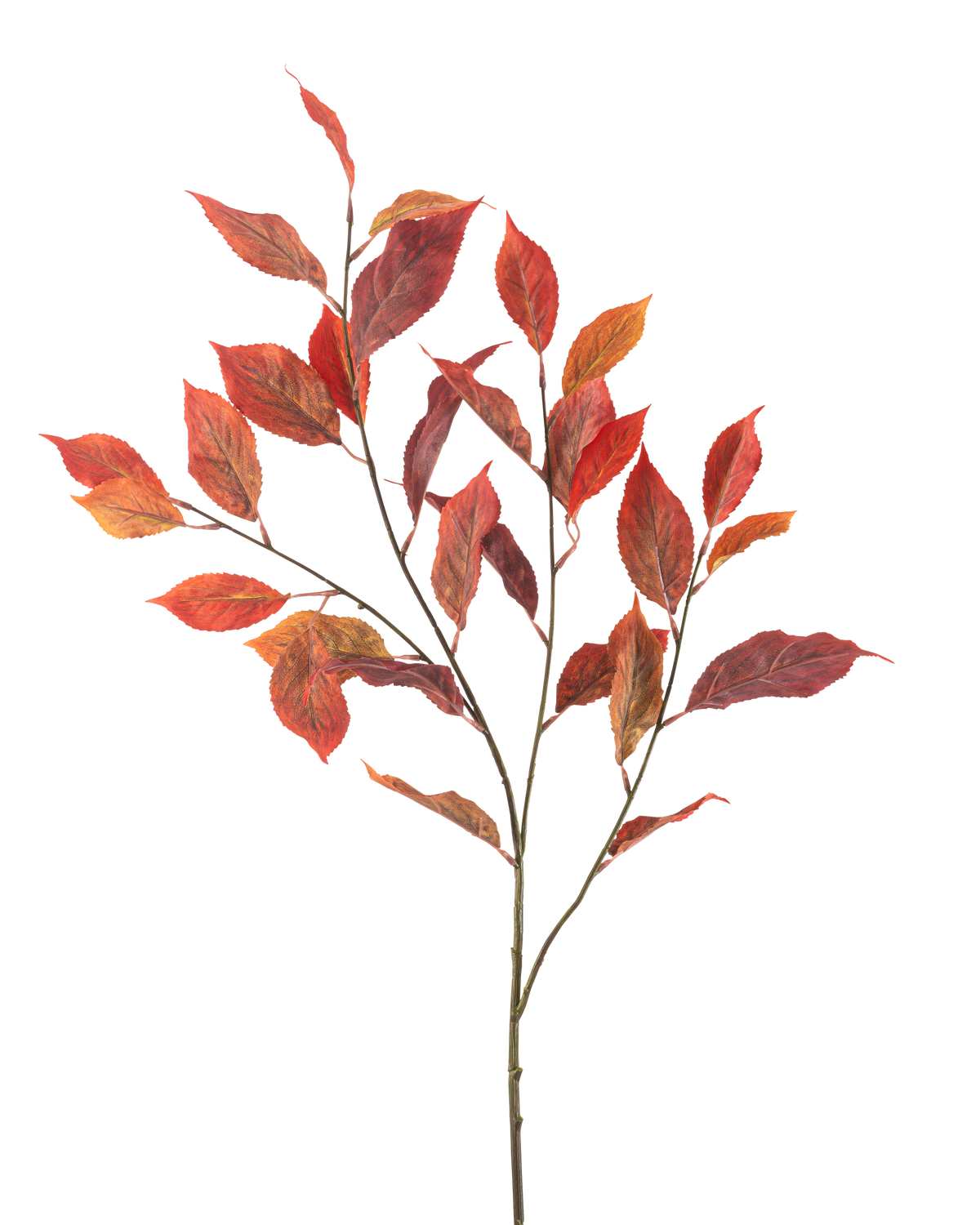 Il fiore artificiale foglia di olmo rosso da 113 cm ha più steli sottili con vivaci foglie autunnali rosse e arancioni, isolate su uno sfondo bianco.
