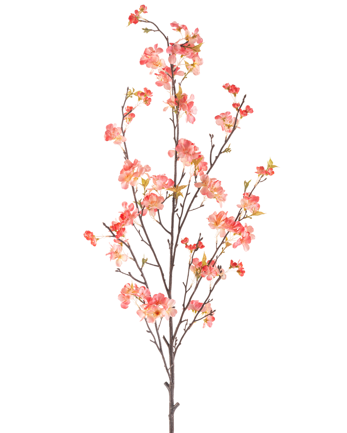 Il fiore artificiale di ciliegio color pesca da 150 cm ha un unico ramo alto con molteplici steli sottili, decorati con grappoli di piccoli fiori rosa e rossi e alcune foglie verdi, su un semplice sfondo bianco.