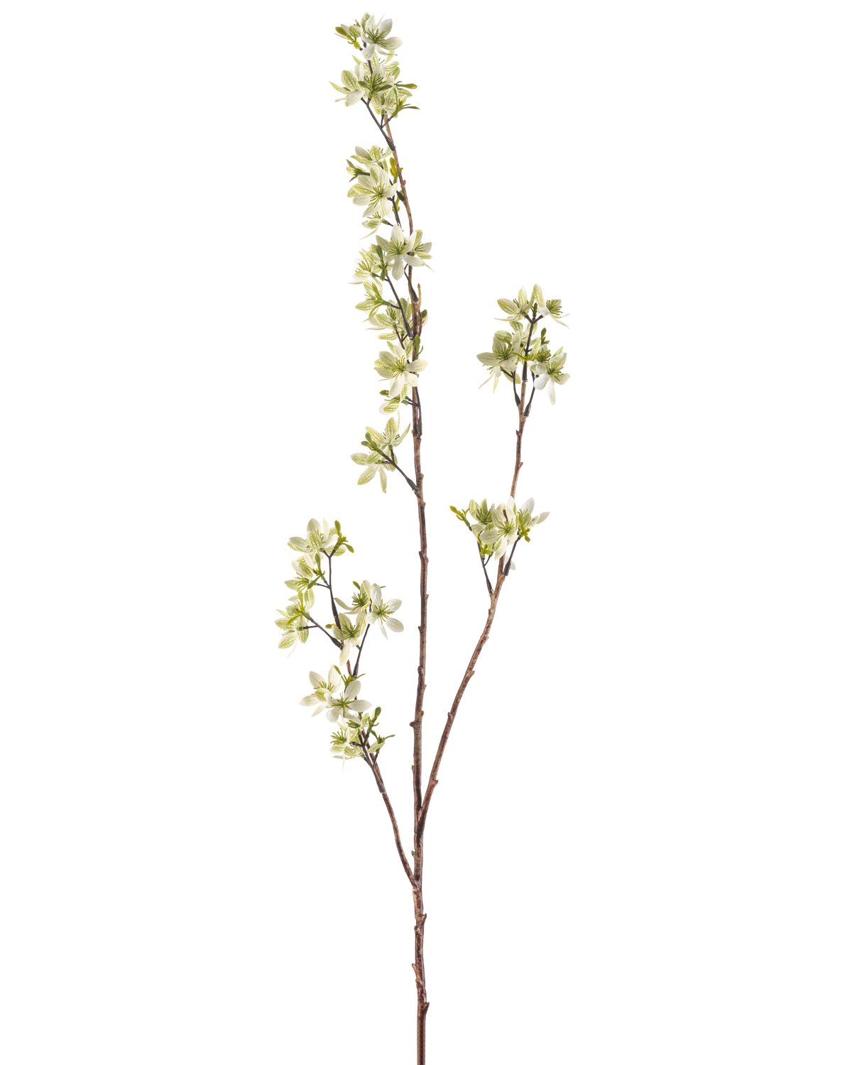 Il fiore artificiale Fiori 102 cm verde ha un unico stelo alto con diversi germogli sottili, decorati con mazzi di piccoli fiori bianchi e verde chiaro, su uno sfondo bianco a tinta unita.
