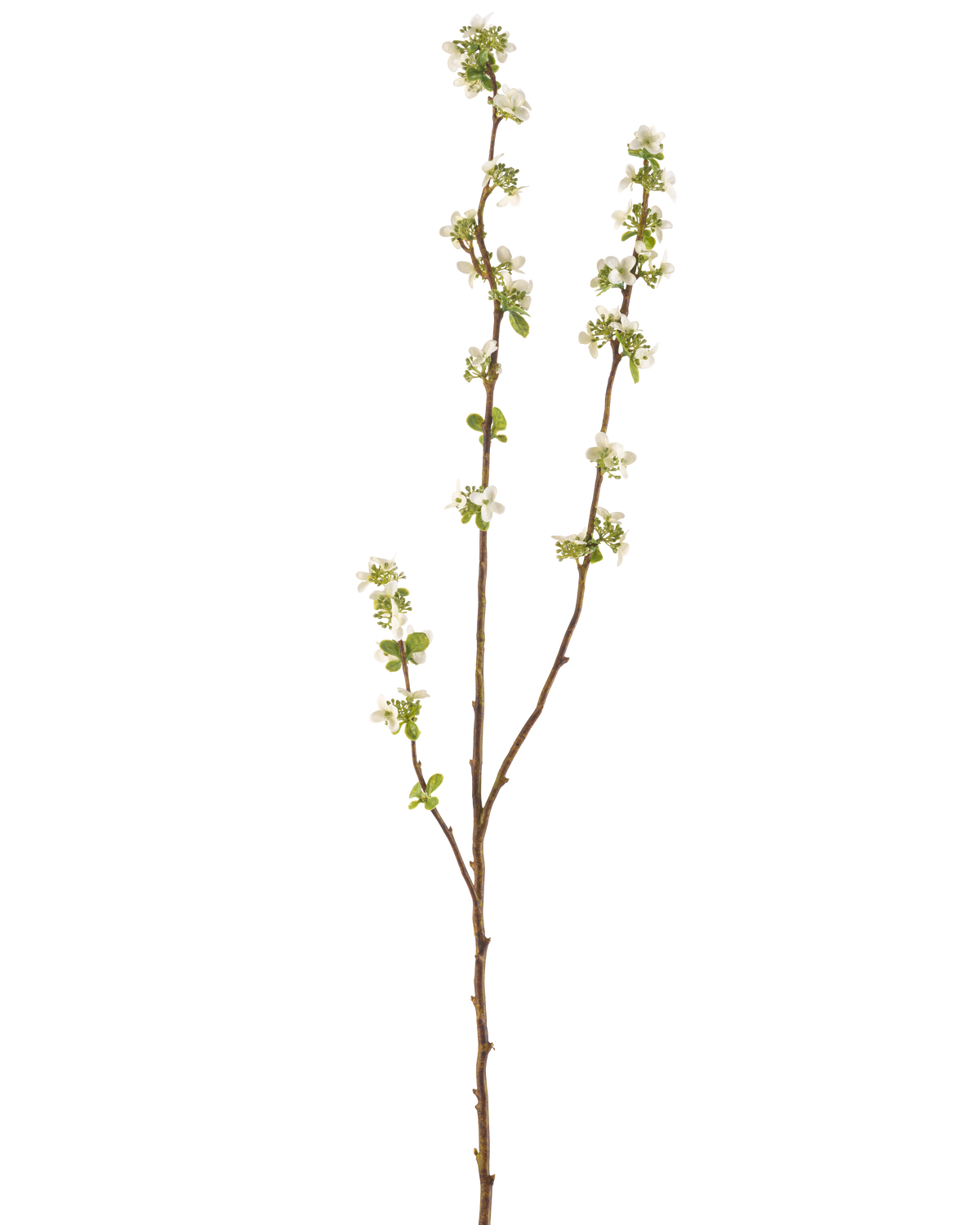 La scatola per semi di rami artificiali color crema da 104 cm ha un singolo ramo marrone con piccole foglie verdi e mazzi di piccoli fiori bianchi su uno sfondo bianco semplice.
