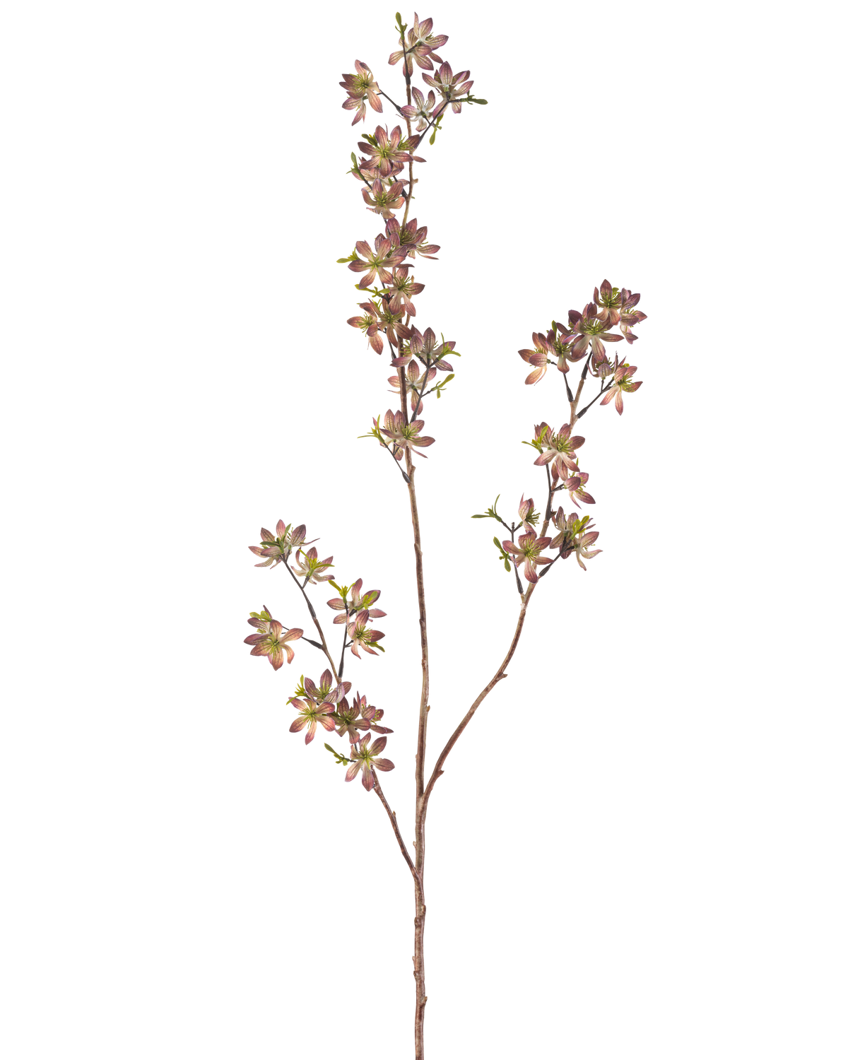 Il fiore artificiale fiori viola/verde da 102 cm ha un unico stelo marrone con rami multipli, ciascuno decorato con piccole foglie maculate viola e verdi, su uno sfondo bianco semplice.