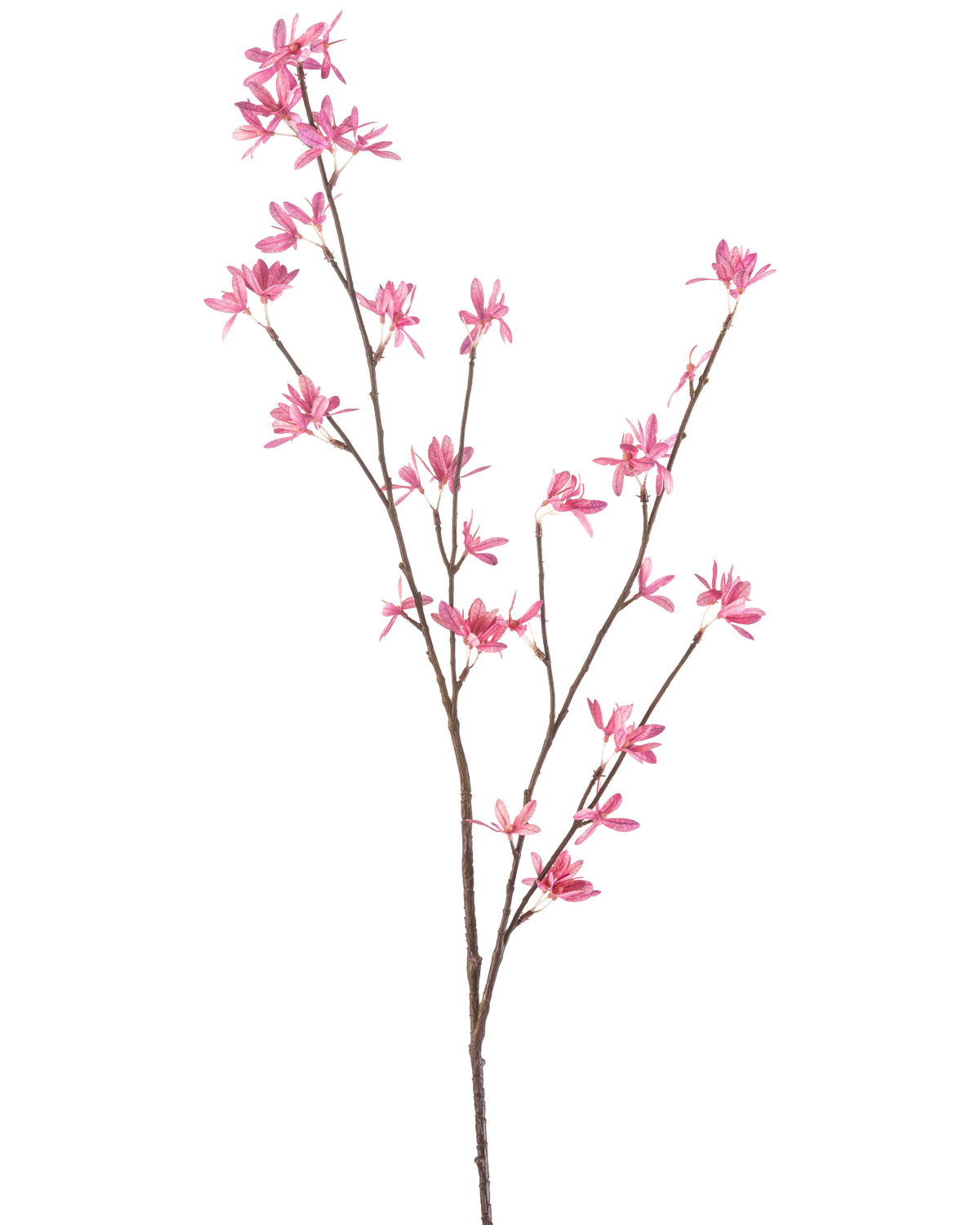 Il fiore artificiale fiori di campo 112 cm fucsia ha un unico ramo con molteplici propaggini, con delicati fiori fucsia su sfondo bianco.